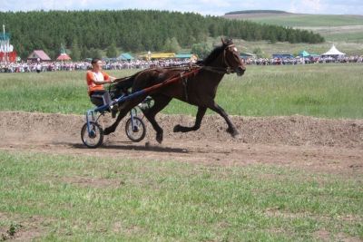 Список лошадей,  участвующих в конно-спортивных соревнованиях на празднике «Сабантуй»  с. Сарманово, 8 июня 2013 года