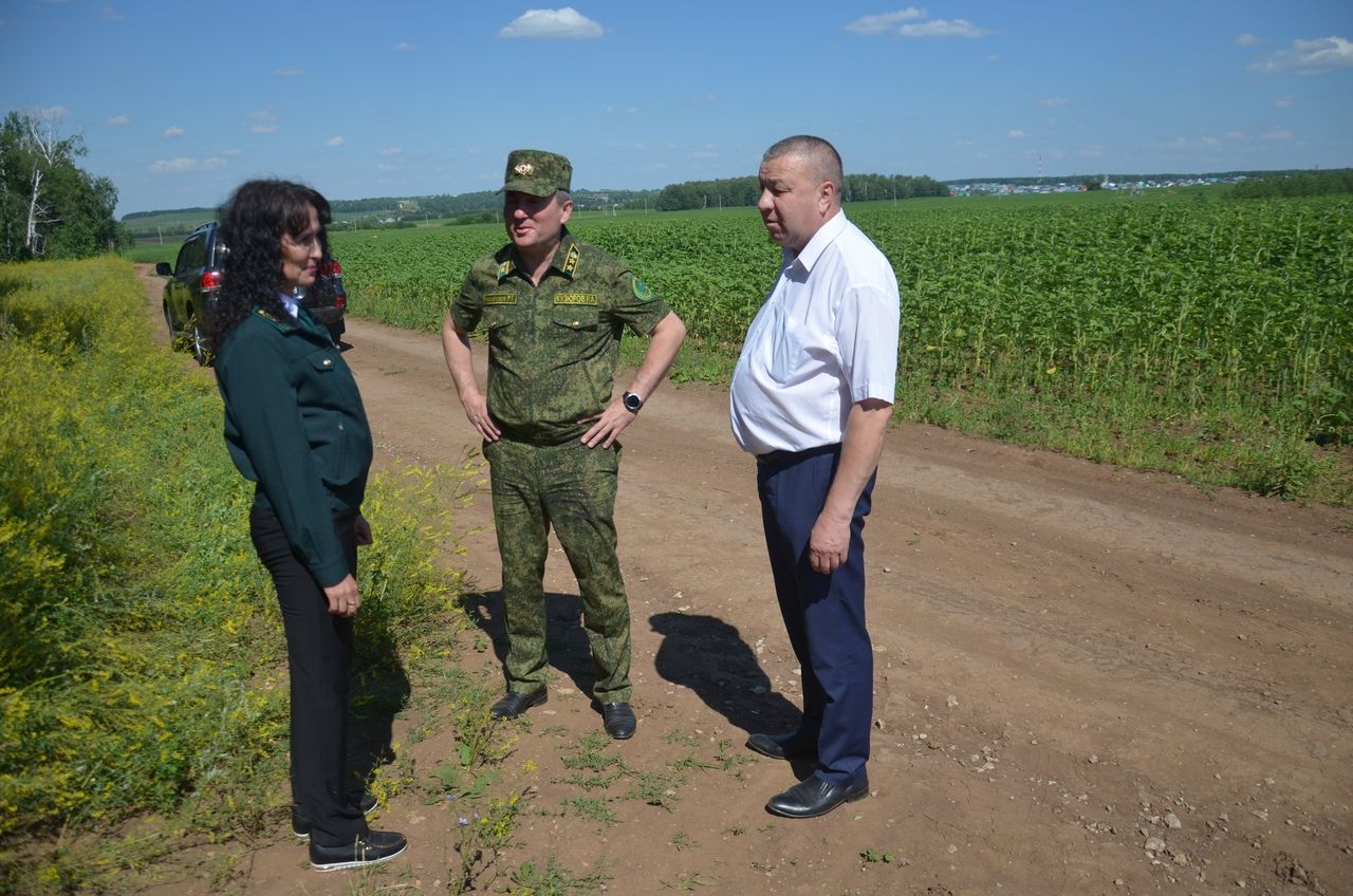 ТР Урман хуҗалыгы министры Равил Кузюров районга эшлекле сәфәр кылды&nbsp;