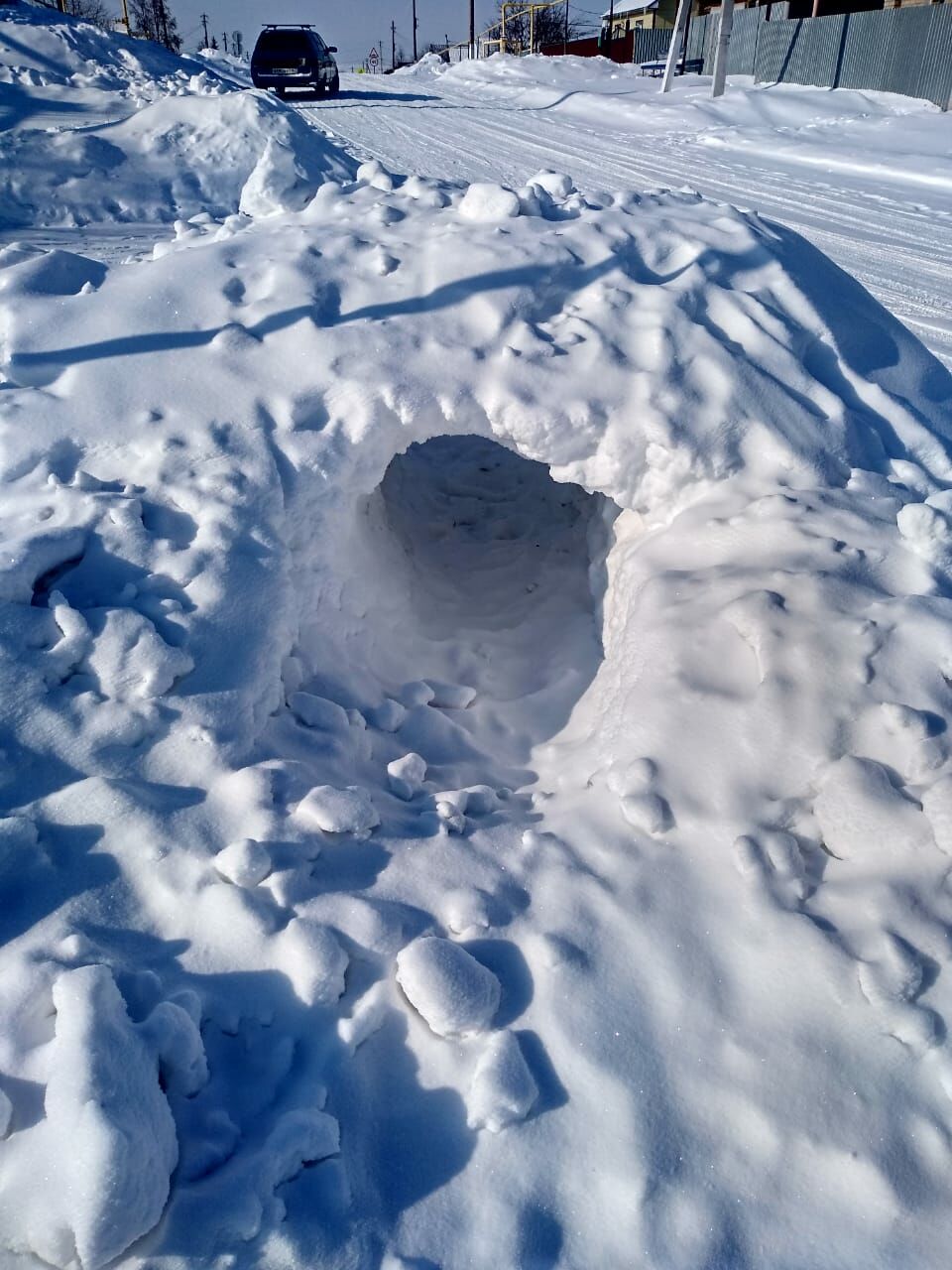 Дети в деревне соорудили снежный тоннель