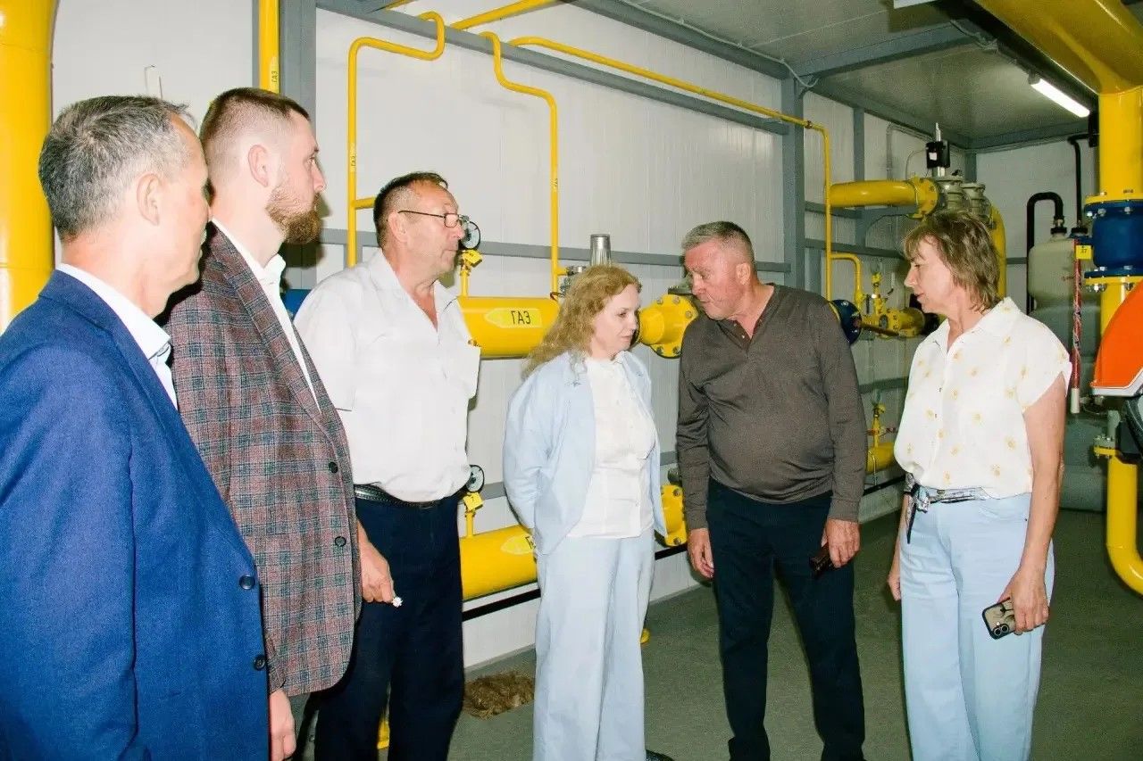 Лариса Хабибуллина проверила объекты ЖКХ в Сармановском районе