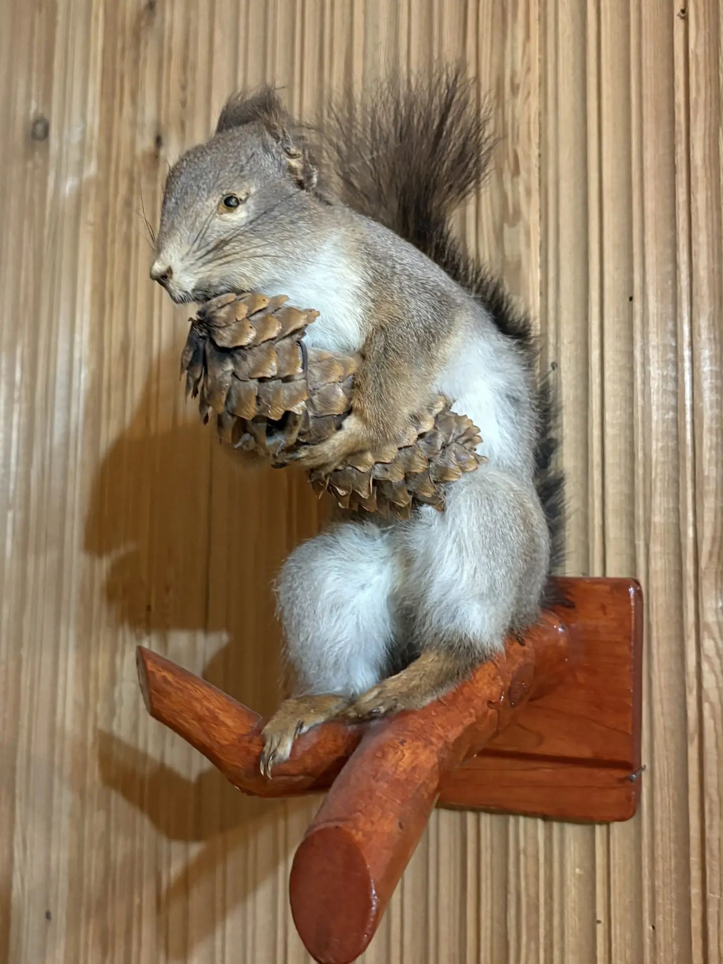 Районның элеккеге архитекторы агачларга икенче тормыш бүләк итә