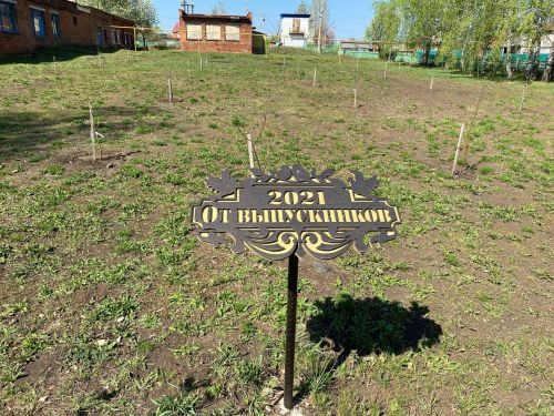 Сарман урта мәктәбендә «Хәтер бакчасы» акциясе үтте