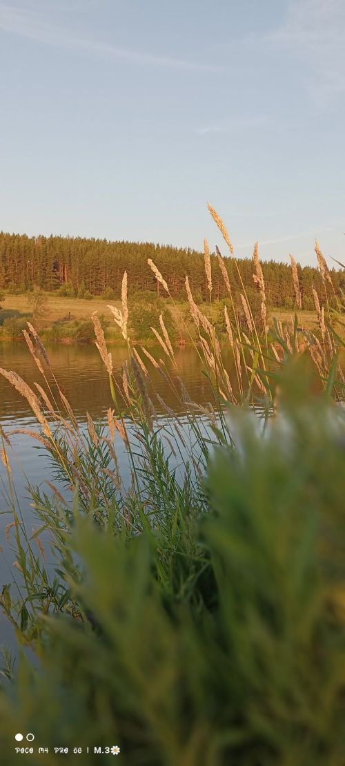 Татарстанга әбиләр чуагының кайчан киләчәге билгеле