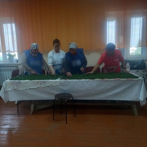 Карашай-Саклаулылар тынычлыкка үз өлешләрен кертәләр