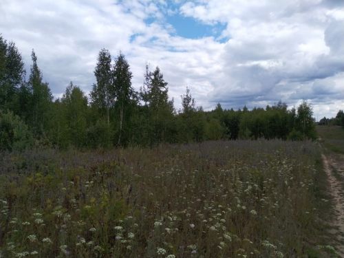 Жители района должны обрабатывать свои земли