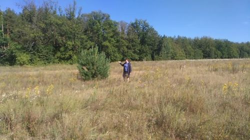 Жители района должны обрабатывать свои земли