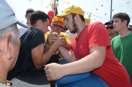 Сарманлылар йөгерергә дә яраталар
