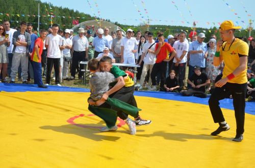 Сарманлылар йөгерергә дә яраталар