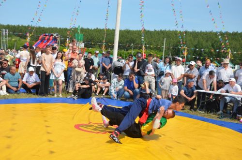 Сарманлылар йөгерергә дә яраталар