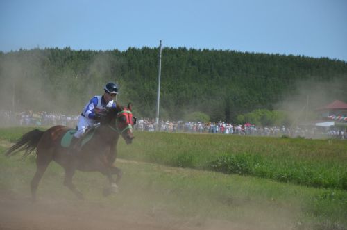 Сарманлылар йөгерергә дә яраталар