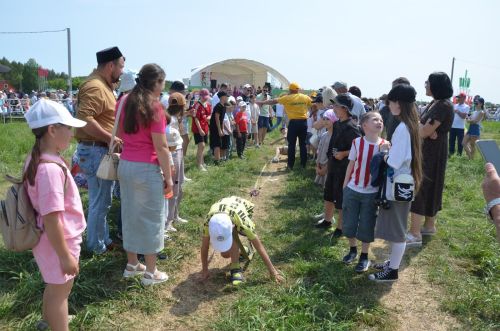 Сарманлылар йөгерергә дә яраталар