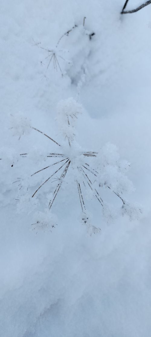 В Татарстане сохраняются аномальные морозы до -35°