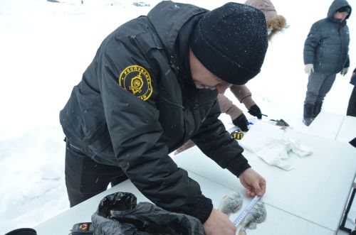 В Языково соревновались 56 рыбаков