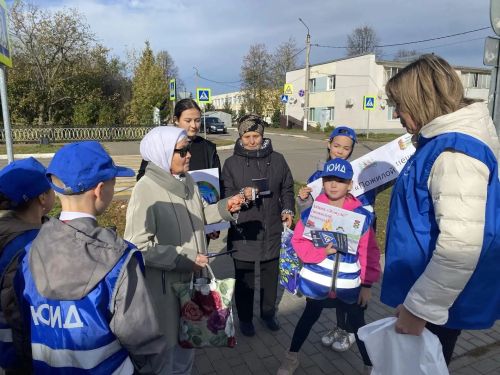 В Сарманово провели акцию «Пожилой пешеход»
