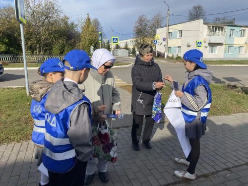 В Сарманово провели акцию «Пожилой пешеход»