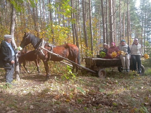В селе Старый Кашир прошла душевная прогулка по осеннему лесу