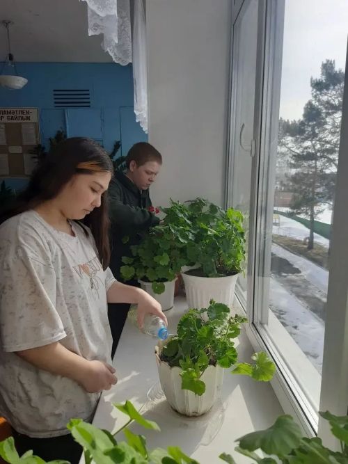 Иске Минзәләбаш мәктәбе укучылары гөлләрнең файдалы яклары турында белделәр