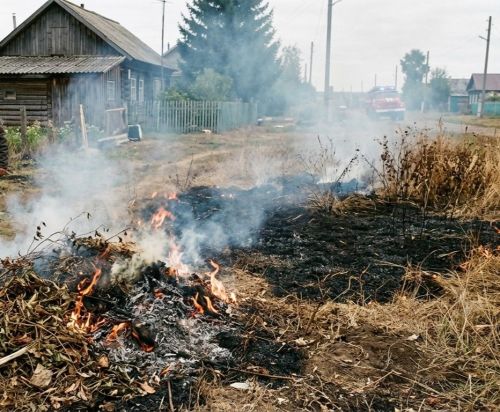 Татарстанлы, махсус режимны бозып, чүп яккан һәм үзе зыян күргән