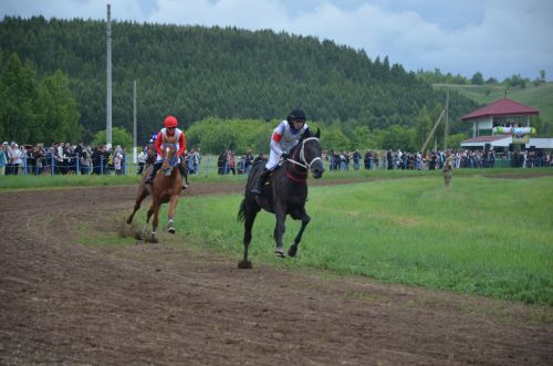 Атлар җилдән җитез чаптылар