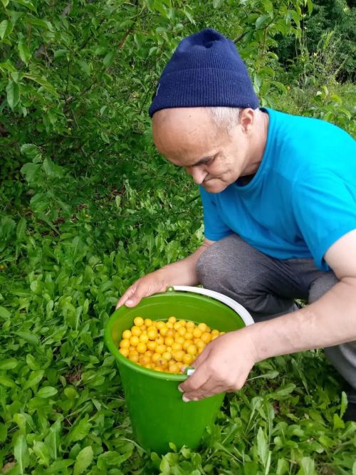 Витамины с собственных грядок для жителей Джалильского дома-интерната