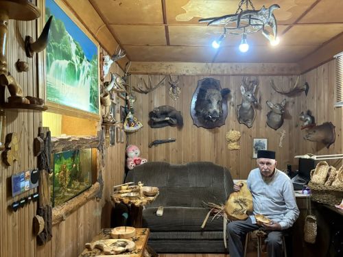 Районның элеккеге архитекторы агачларга икенче тормыш бүләк итә