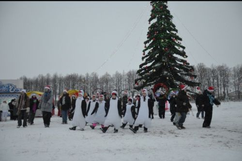 В районе торжественно открыли Центральную елку