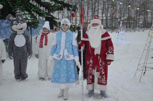 В районе торжественно открыли Центральную елку