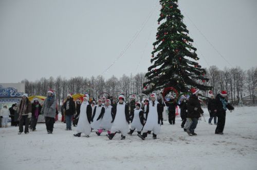 В районе торжественно открыли Центральную елку