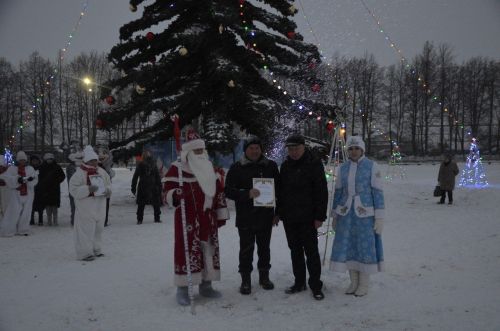 В районе торжественно открыли Центральную елку