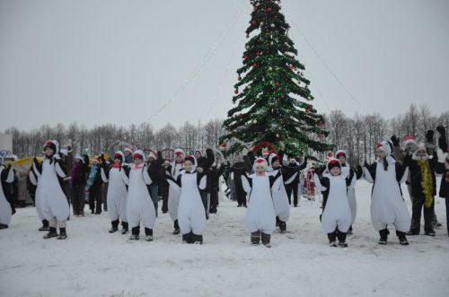 В районе торжественно открыли Центральную елку
