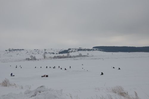 В Языково состоялась зимняя рыбалка