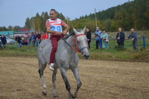 Сарманда узган ат чабышларыннан фоторепортаж