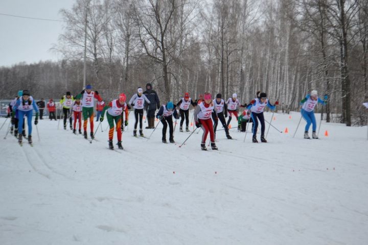 Спортсмены соревновались на лучшей лыжне Республики