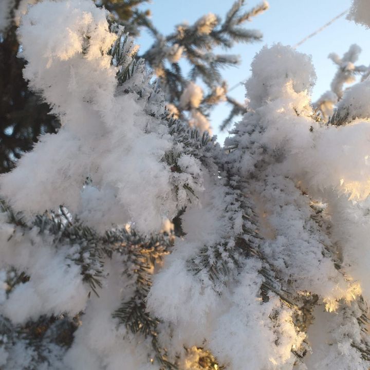 Мунчадан соң карга сикерү файдалымы, зыянлымы?