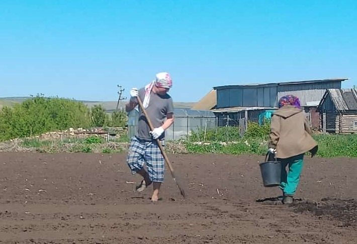Район халкына бәрәңгене саклап калу буенча киңәшләр бирделәр