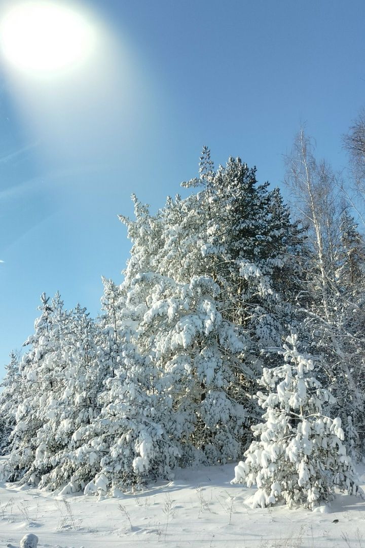 Район халкының күптән мондый кыш күргәне булмаган