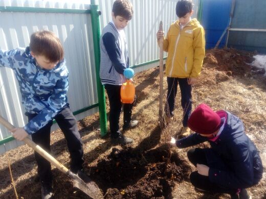 Учащиеся Петровскозаводской школы  присоединились к Всероссийской  акции  «Дерево Победы»
