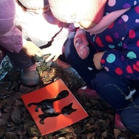 В детском саду "Лилия" дети провели необычное наблюдение за природой