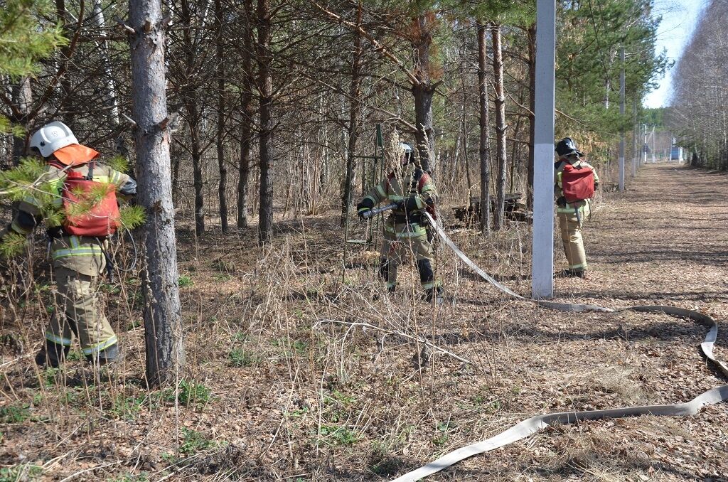 Сарманда янгынга каршы махсус укулар оештырылды