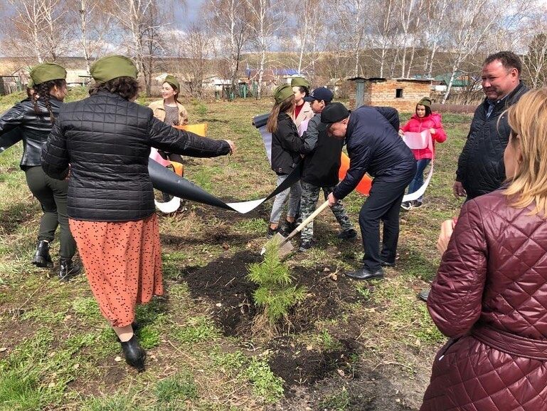 Глава района принял участие в Международной акции «Сад Памяти»