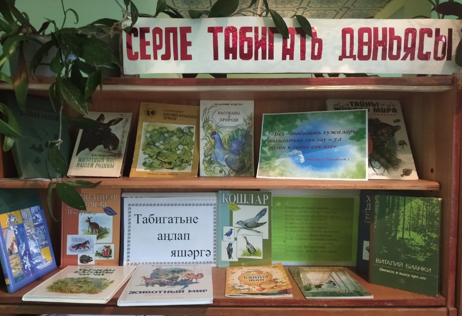 Сотрудники Старокаширской библиотеки приучают детей любить природу