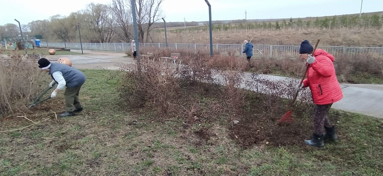 Сарман районында Бөтенроссия экологик өмә үтте
