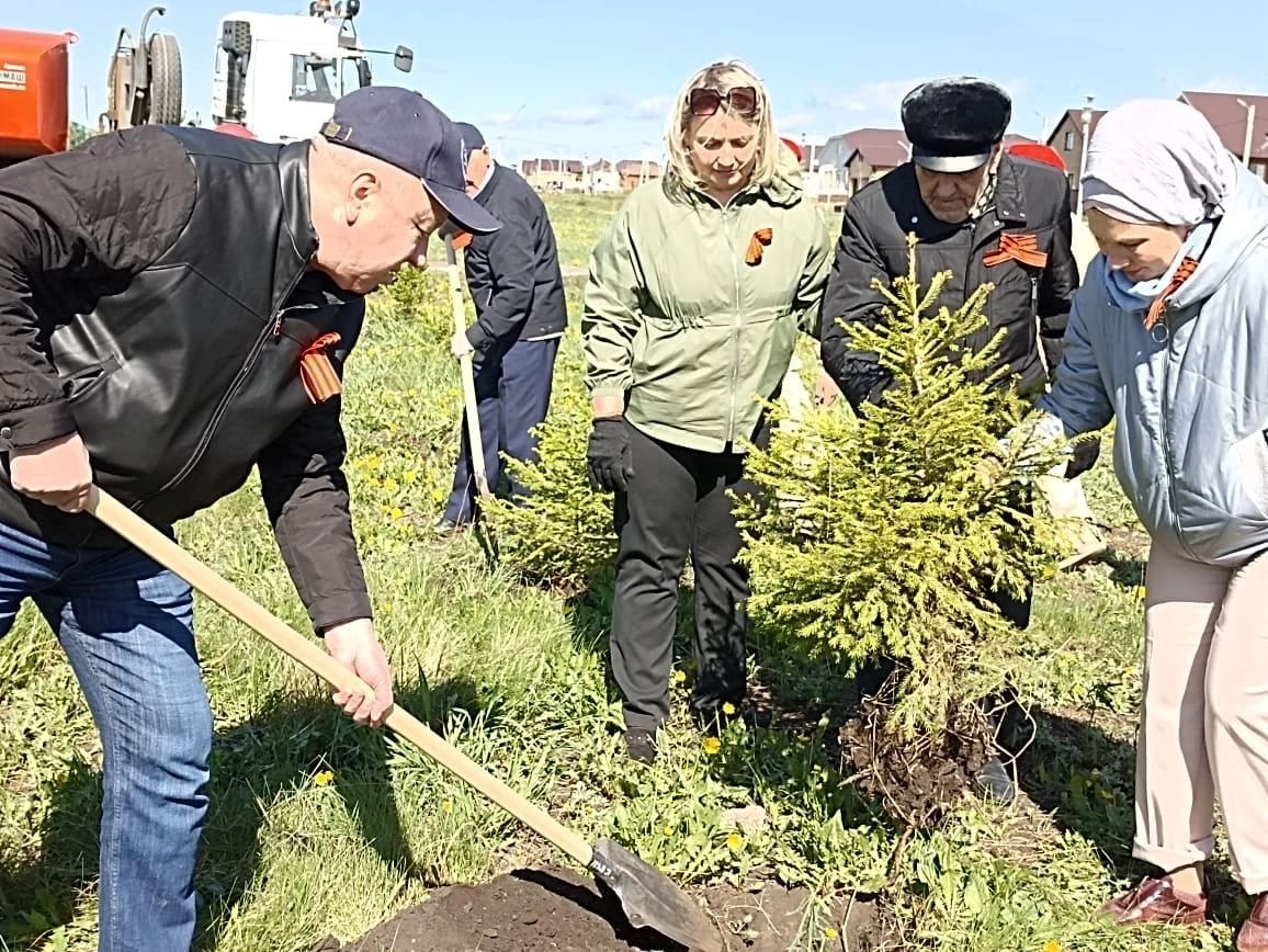 В парке 100-летия ТАССР по традиции посадили ели