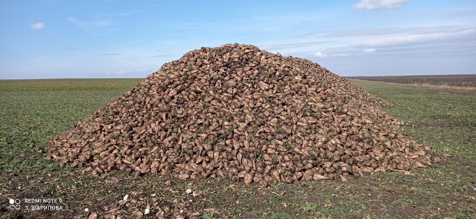 Район башлыгы бәйге җиңүчеләрен бүләкләде
