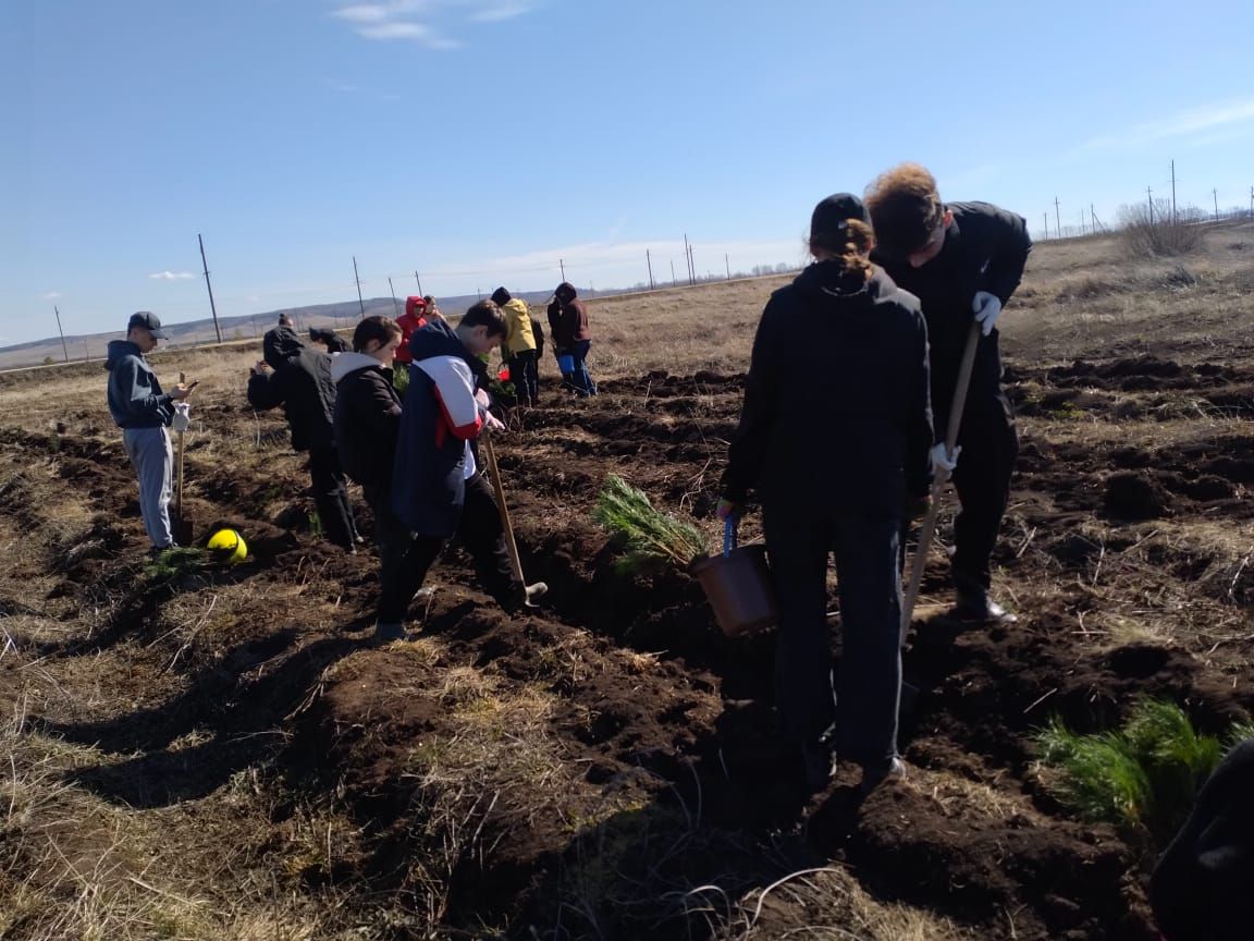 Учащиеся Лешев-Тамакского и Джалильских школ посадили деревья