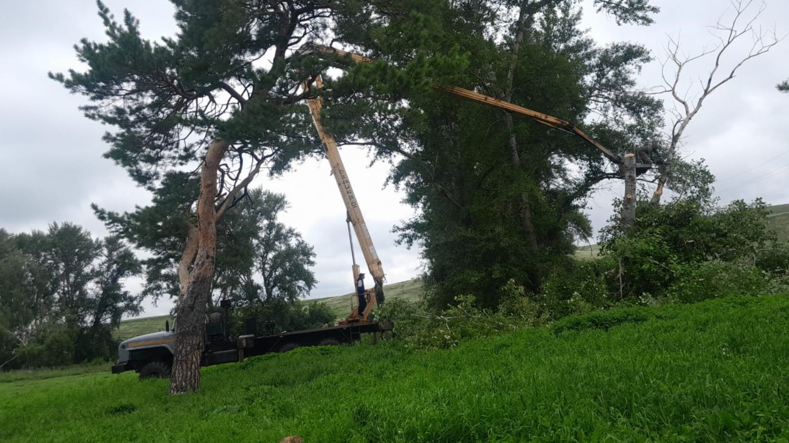 Вырубка деревьев на территории Янурусовского сельского поселения