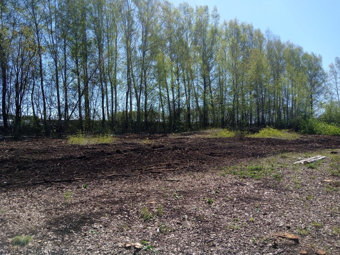 В Лешев-Тамакской школе появится «Сад Памяти»