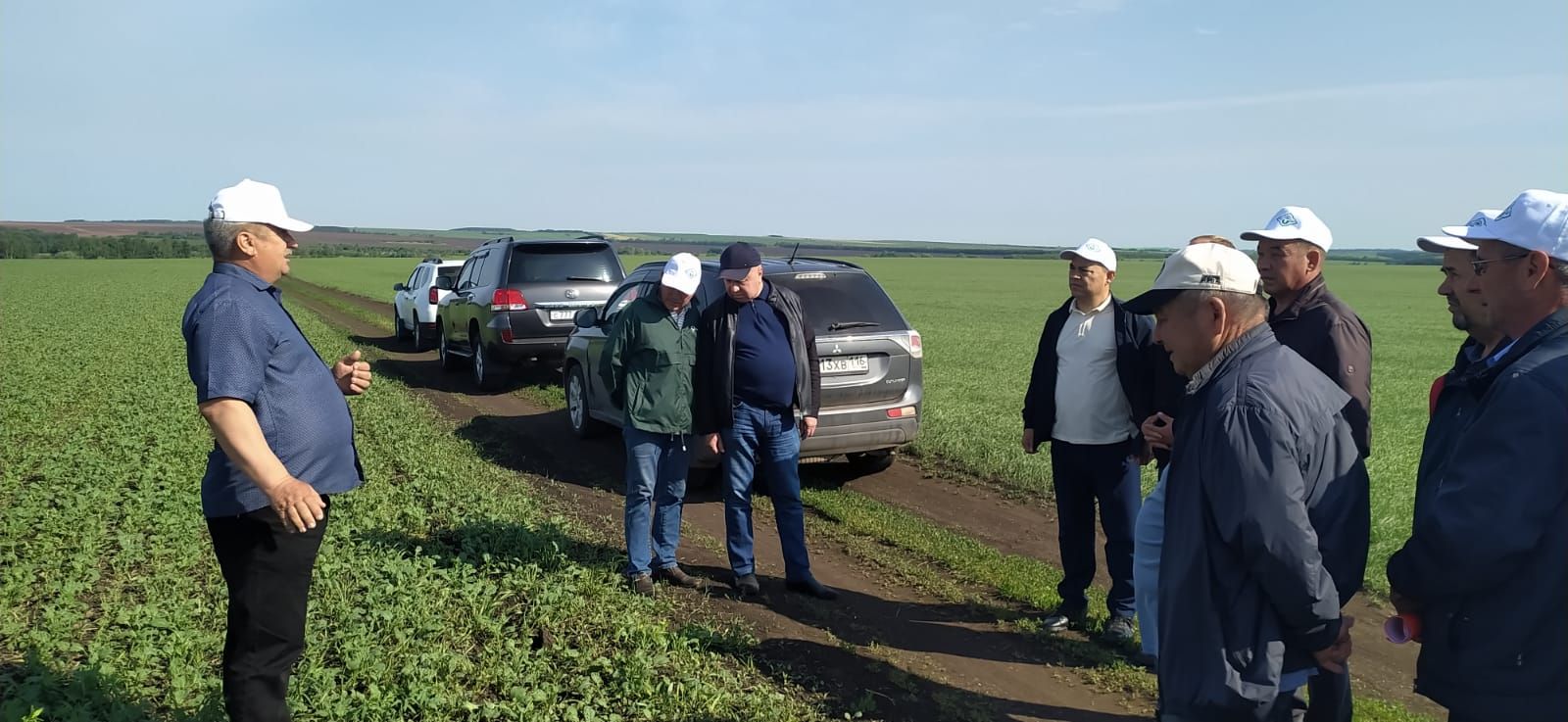 В районе оценивают посевы