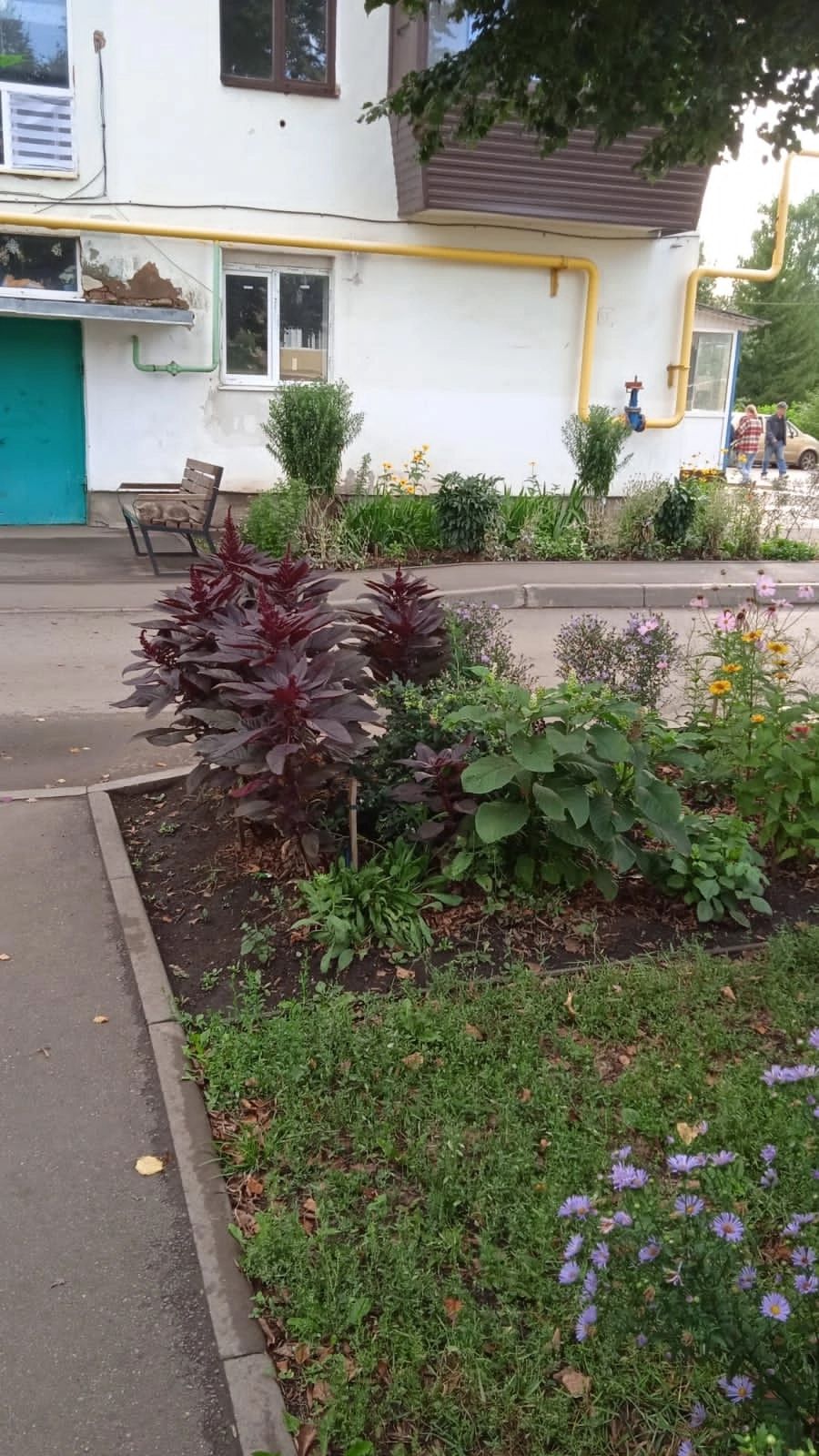 Җәлил поселогында яшәүче Мария Михайлова йортлары ишегалдын гөлчәчәкләргә күмгән