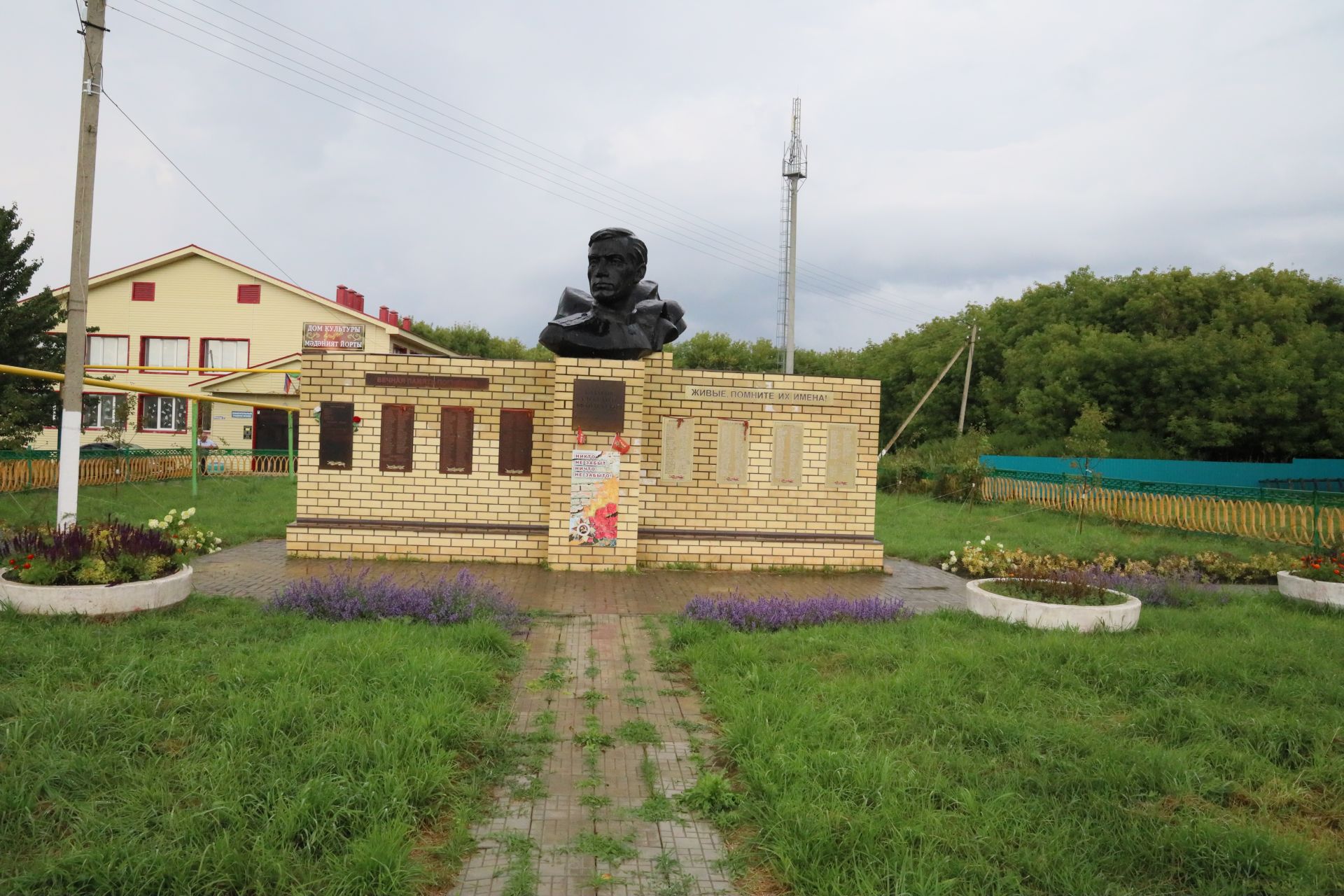Цветущая аллея в подарок